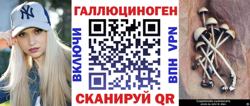 дарнет шоп  Касли  Псилоцибиновые грибы прущие грибы 